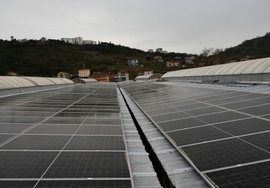 TÜRKİYE’DE BİR İLK ALAPLI’DA HAYATA GEÇİYOR.